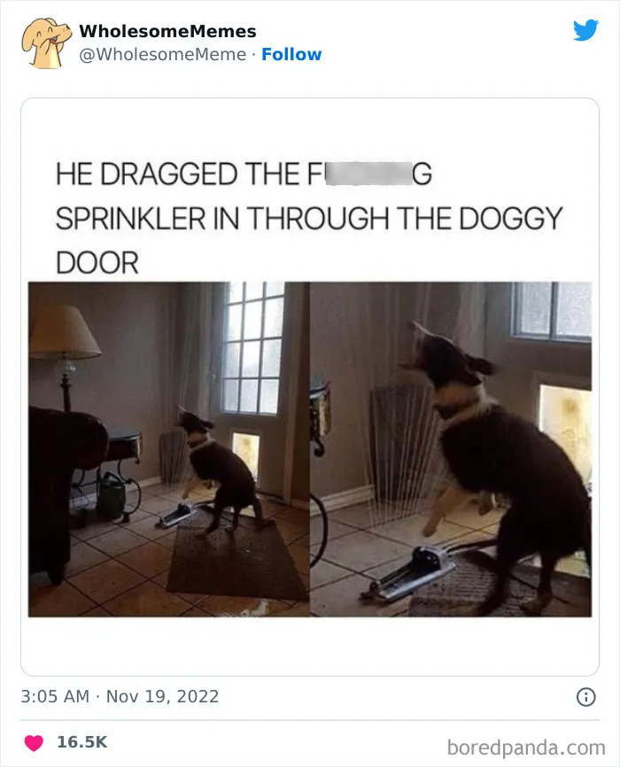 50 Wholesome Memes As Shared By This Page To Brighten Up Your Day (New Pics)