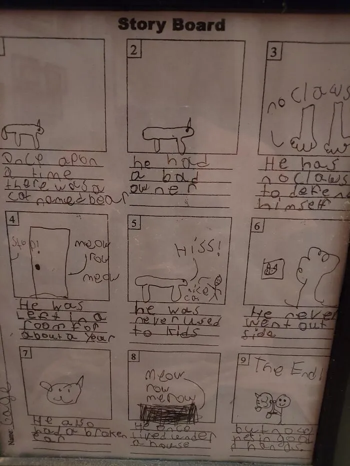 The Story Of Our Cat Bear