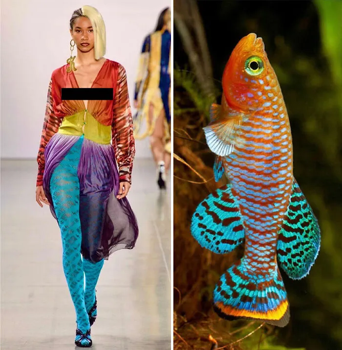 La moda suele inspirarse en la naturaleza y esta cuenta de Instagram lo demuestra (30 nuevas fotos)