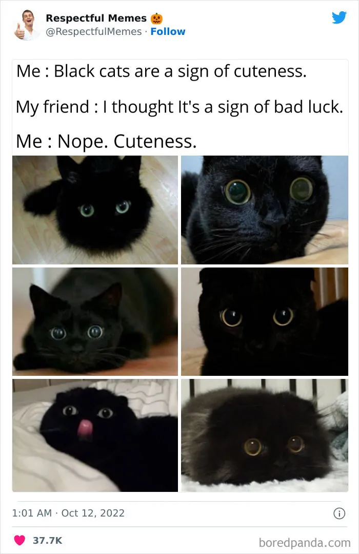 50 Memes That Are So Wholesome, You Can Even Show Them To Your Grandma (New Pics)