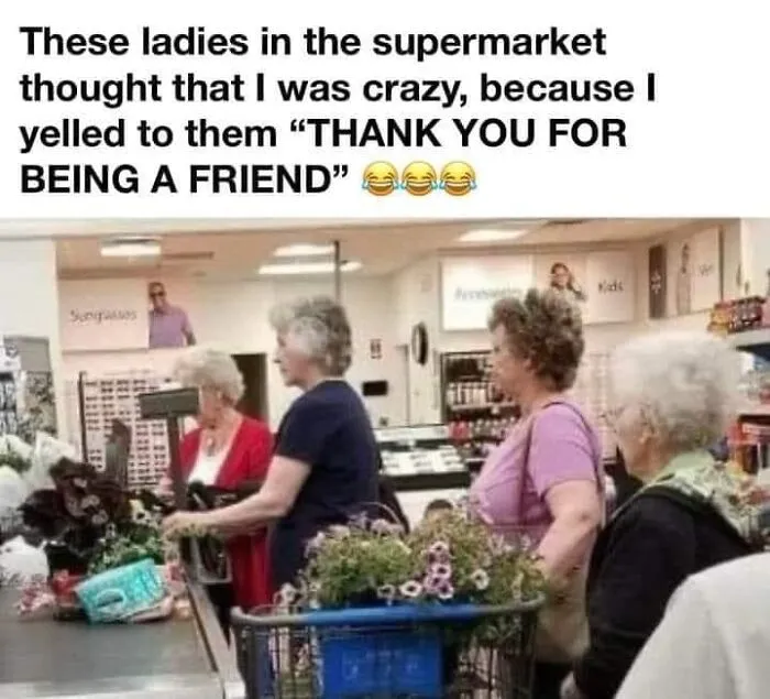 They’re The Golden Girls You Buy Off Wish