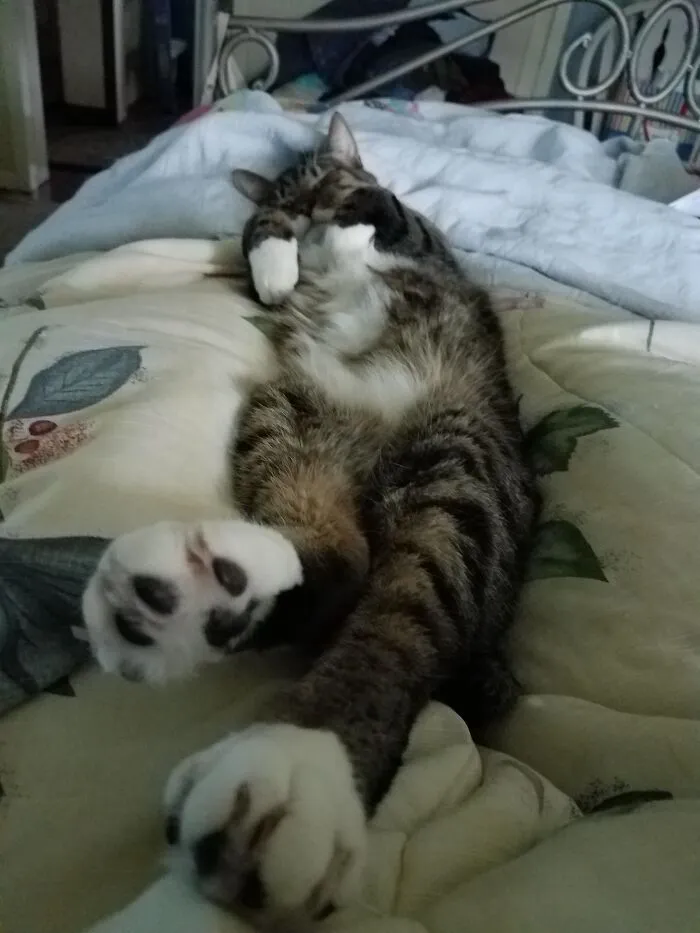 Nap Time
