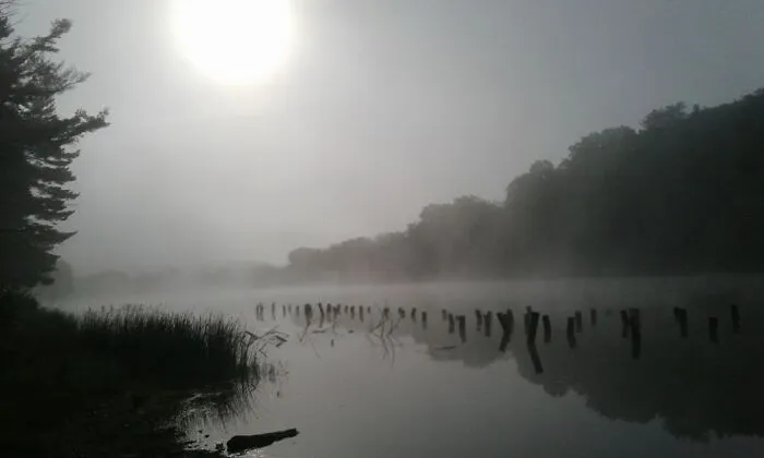 My Favorite Fishing Lake, I Go Here To Fish And Cleanse My Soul. Even If I Only Catch A Few Small Ones, The Time Spent There Is Peaceful And Serene