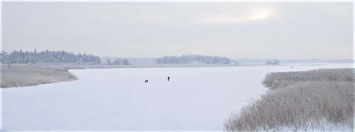 Finland, Helsinki, The Old Town Bay At Winter