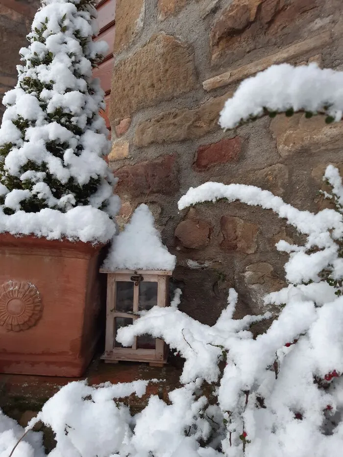 Wintery Corner
