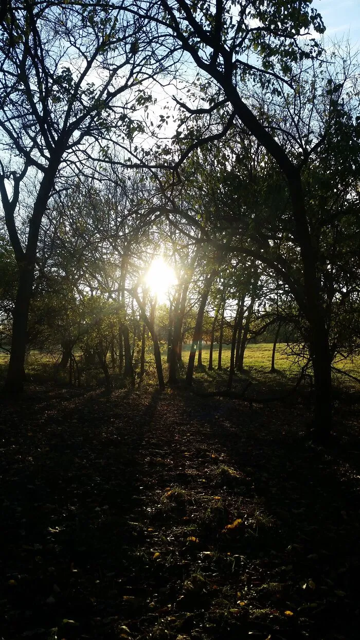 The Magic Spot