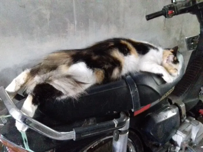 Sleep Anywhere