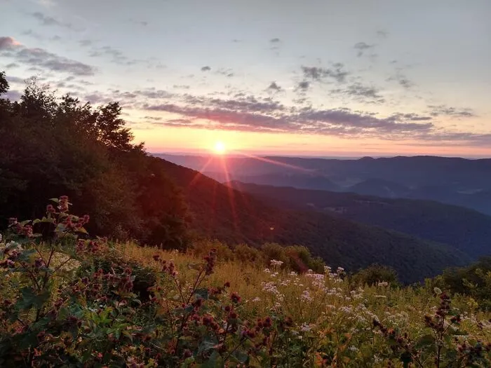 Wild And Wonderful West Virginia