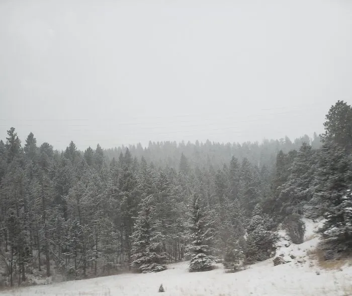 I Absolutely Loved Visiting Colorado And Can't Wait To Go Back Someday