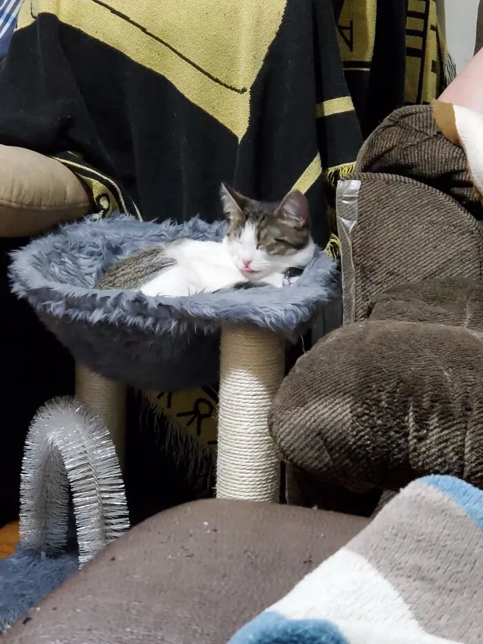 Sleeping Bleeper