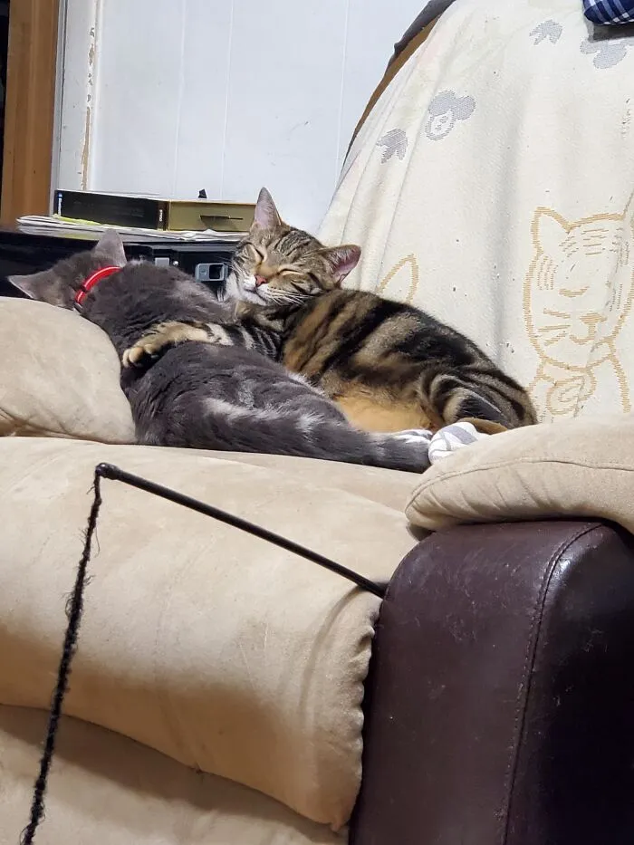 Brothers