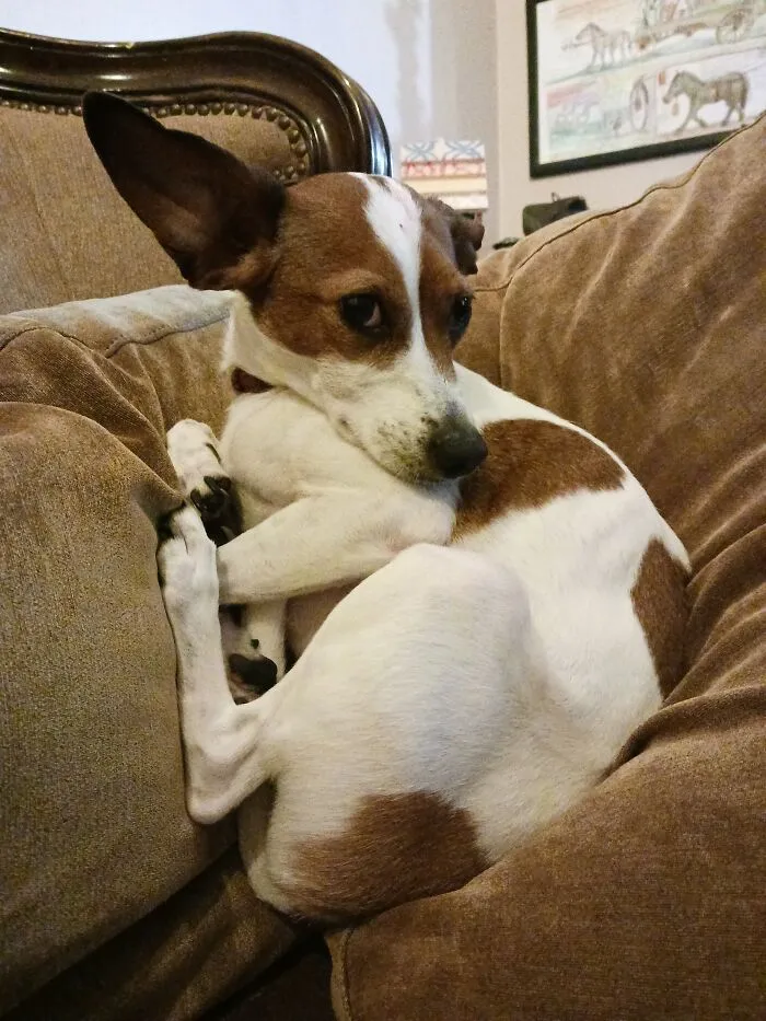 Our Precious Lottie