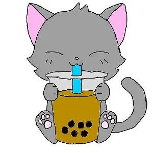Arte the Kitty