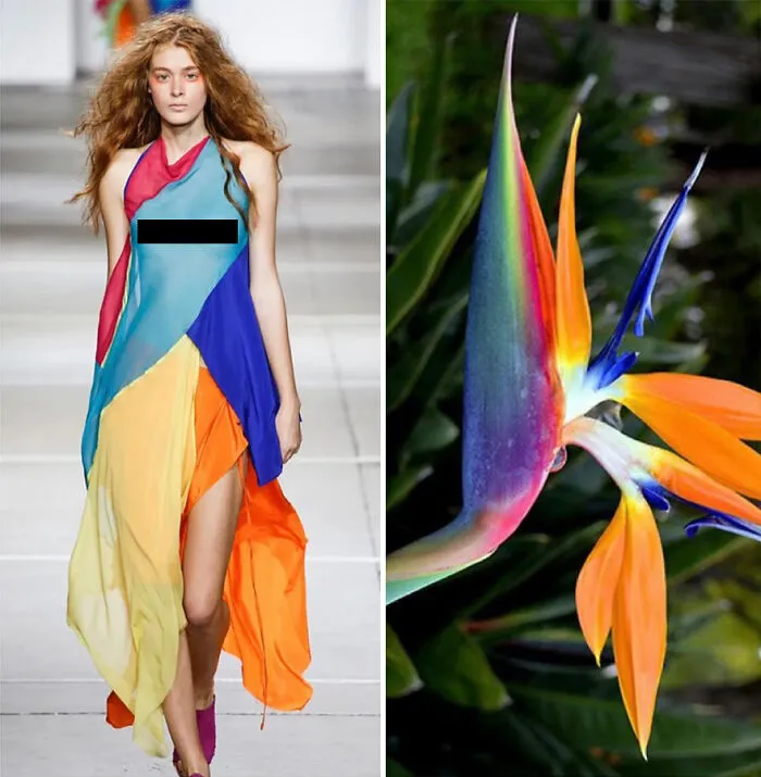 La moda suele inspirarse en la naturaleza y esta cuenta de Instagram lo demuestra (30 nuevas fotos)