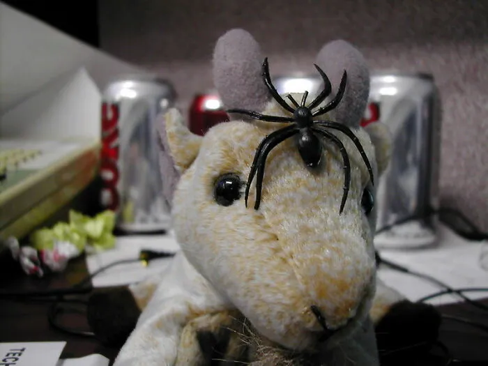 40 Of The Strangest Wishes That The Make-A-Wish Foundation Actually Granted, As Shared By People Online