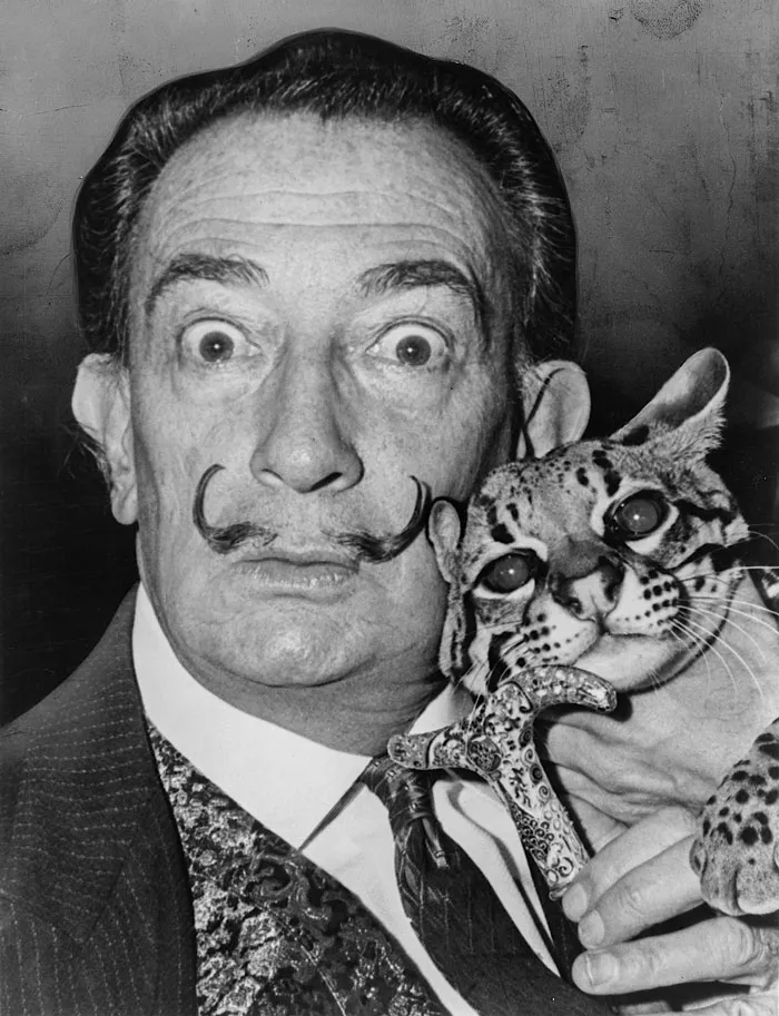 Salvador Dali Got The Idea For His Famous Melting Clocks From Watching Pieces Of Camembert Cheese Melt In The Sun