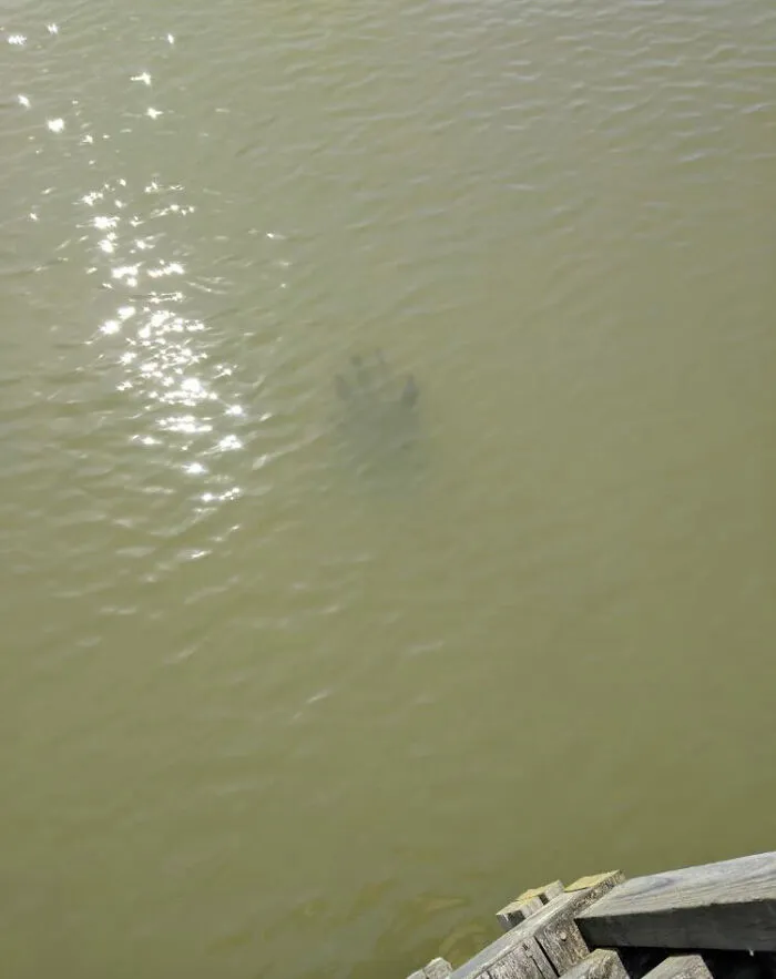 Pieza de muelle antigua que parece una mano. Es más grande de lo que parece