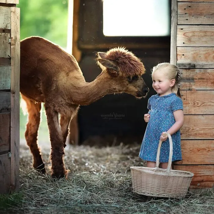 This Photographer Has Taken Magnificent Shots Illustrating The Delicate Bond Between Humans And Animals (50 Pics)