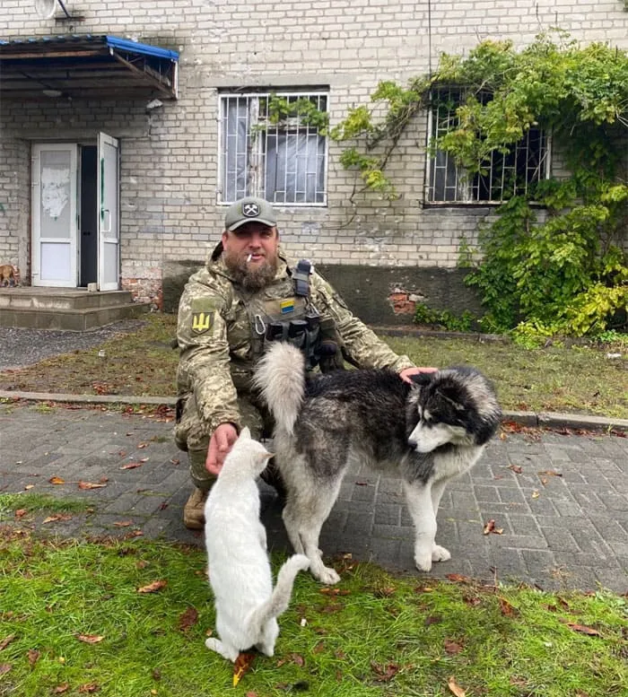 50 Photos Of Cats And Dogs Rescued By Ukrainian Soldiers, Shared By This Instagram Account
