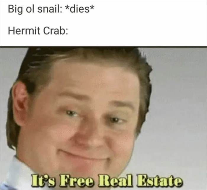 People Are Cracking Up At These 40 Dark Memes And Posts About Nature, The Planet, And All Living Things, As Shared By This Facebook Group
