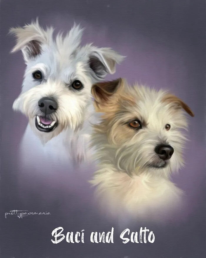 I Specialize In Turning Your Favorite Pet Photos Into Custom Digital Portraits (8 Pics)