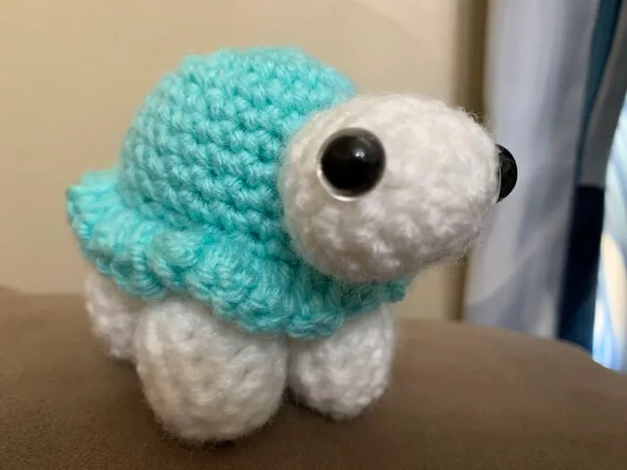 Cutie Turtle For A Friend!