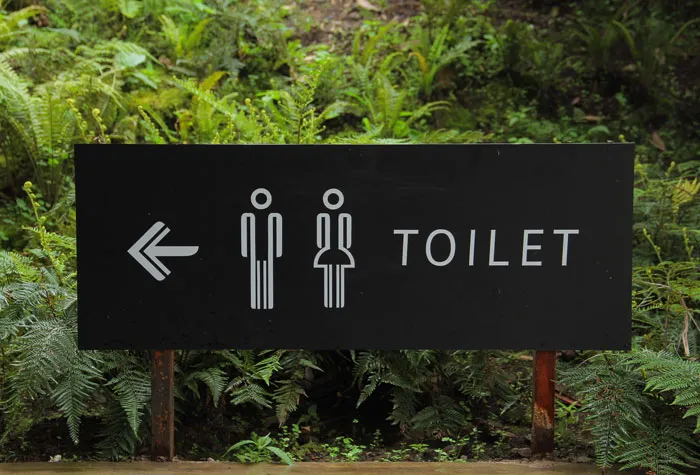 Unable To Find A Toilet