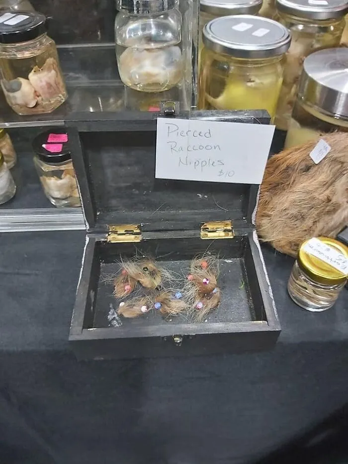 “That's It, I'm FB Marketplace Shaming”: 30 Funny, Weird, And Shady Things People Actually Tried To Sell Online (New Pics)