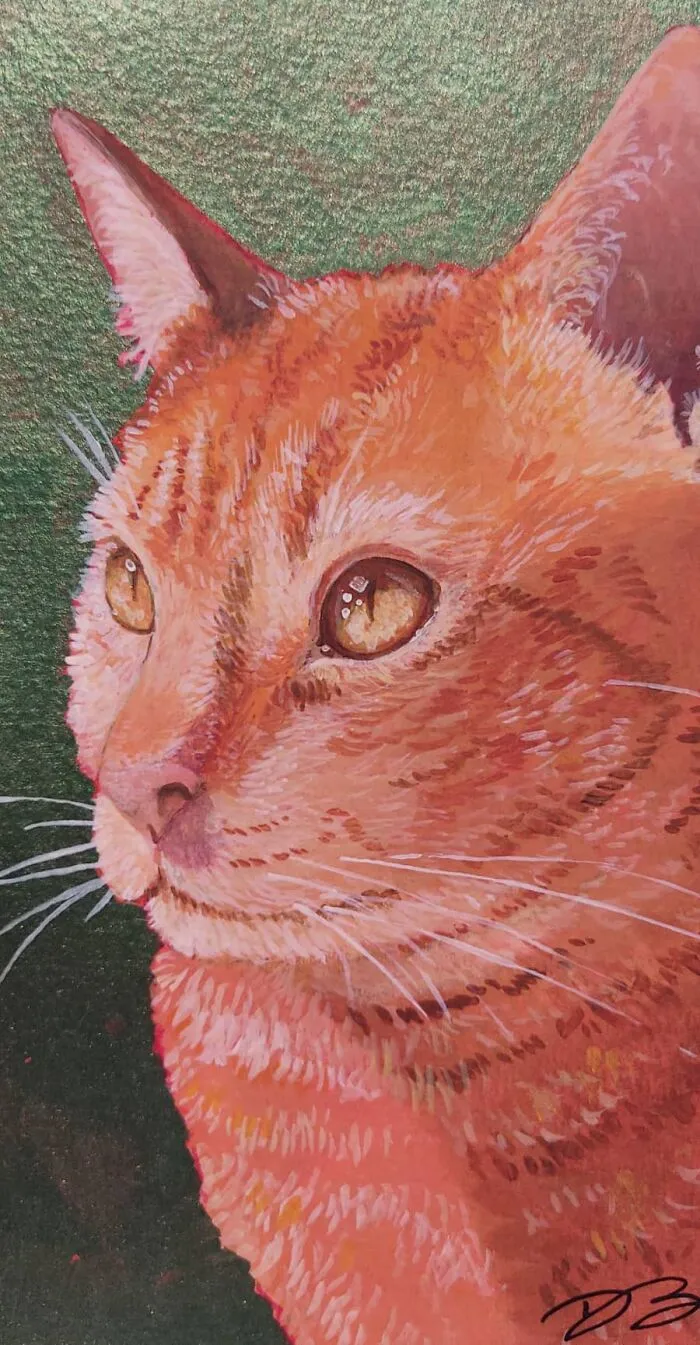 Finding My Peace And Practicing Mindfulness By Painting Animals