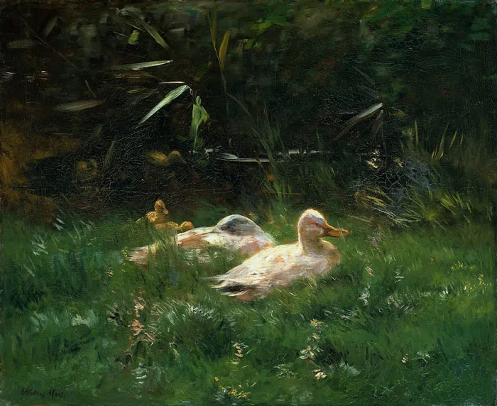 Ducks (C. 1880-1904) By Willem Maris