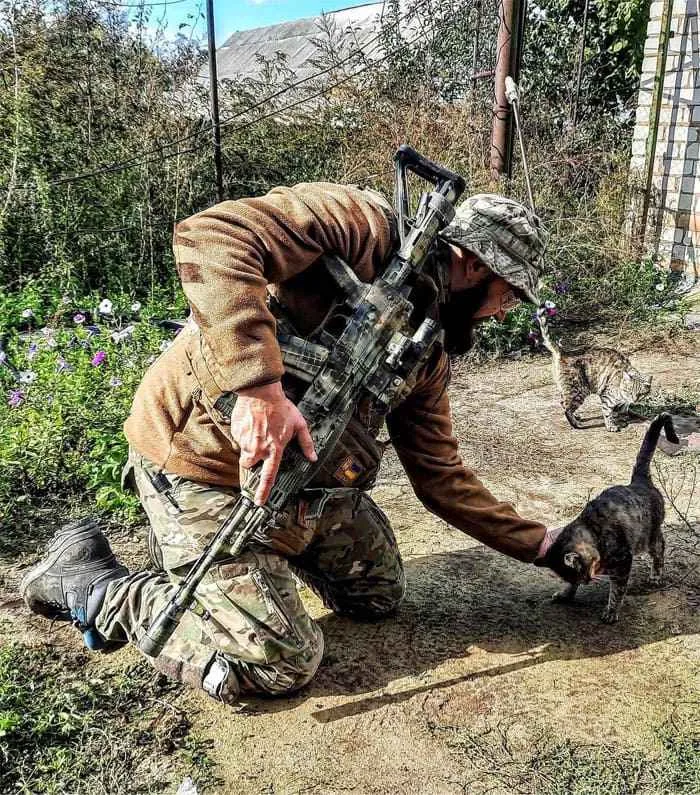 50 Photos Of Cats And Dogs Rescued By Ukrainian Soldiers, Shared By This Instagram Account