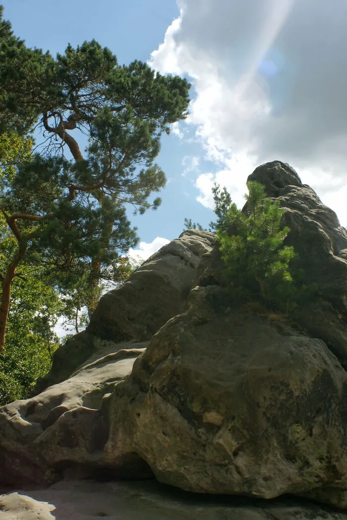 Somewhere In The Teutoburger Wald (Germany)