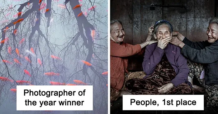 The 2021 Annual Mobile Photography Award Winners Will Make You Rethink The Need For An Expensive Camera (21 Pics)