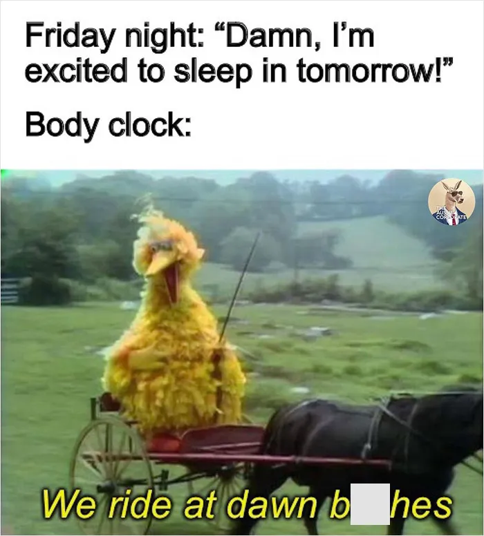 35 Spot-On Memes And Posts About What It Means To Have A White-Collar Job, As Shared By This Dedicated Instagram Account