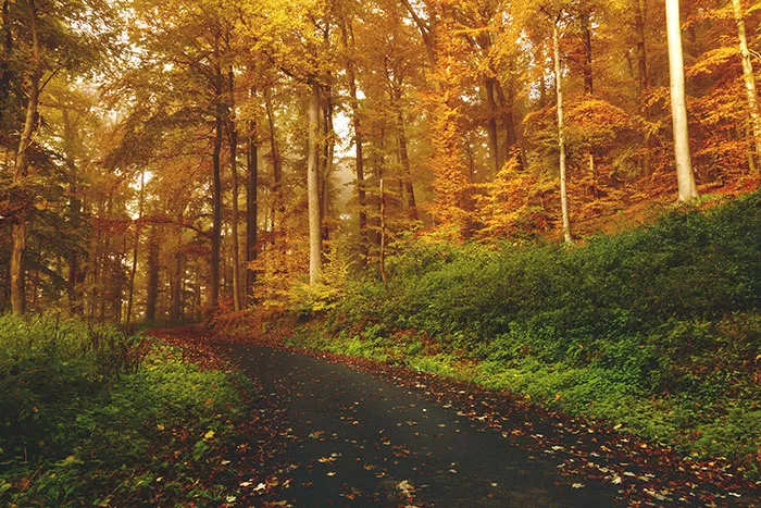 Explore Nature