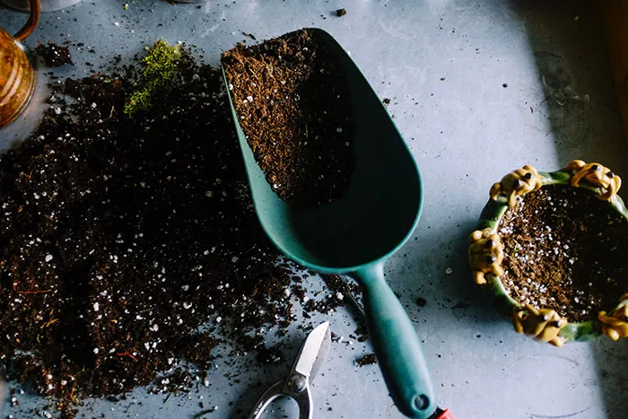 Gardening tools and soil on a table, ideal for enjoying me time outdoors.