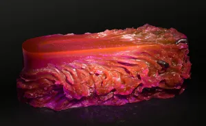 The Look Of Materiality: Art Out Of Plastic