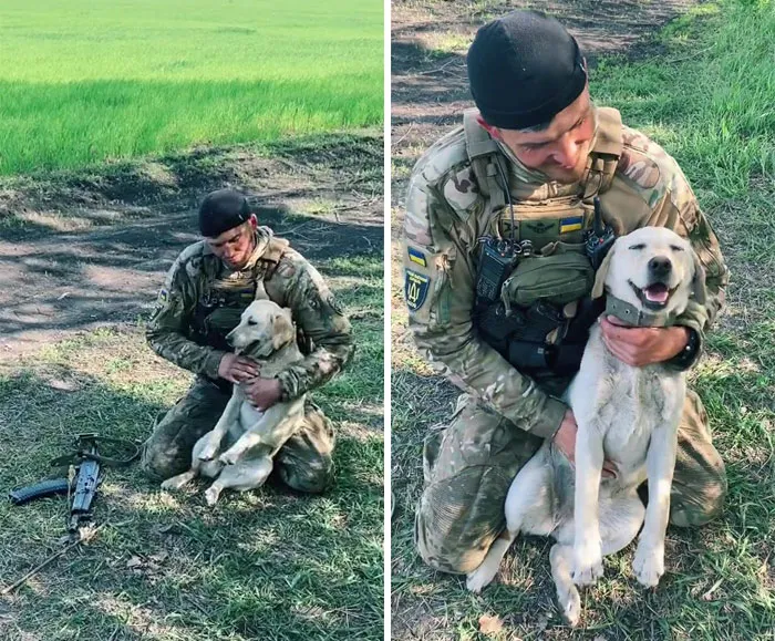50 Photos Of Cats And Dogs Rescued By Ukrainian Soldiers, Shared By This Instagram Account