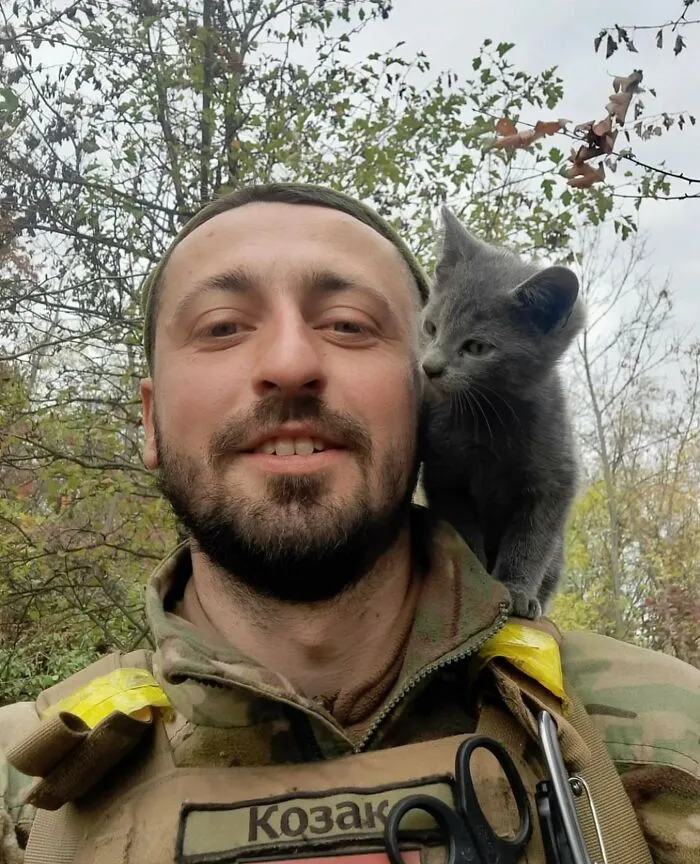 50 Photos Of Cats And Dogs Rescued By Ukrainian Soldiers, Shared By This Instagram Account