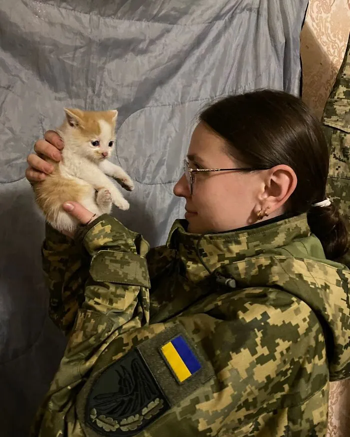50 Photos Of Cats And Dogs Rescued By Ukrainian Soldiers, Shared By This Instagram Account