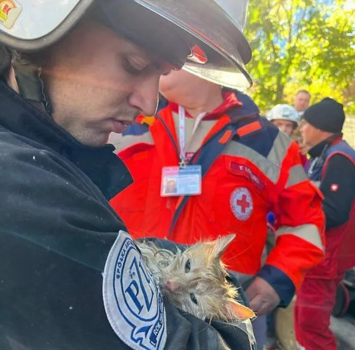 50 Photos Of Cats And Dogs Rescued By Ukrainian Soldiers, Shared By This Instagram Account