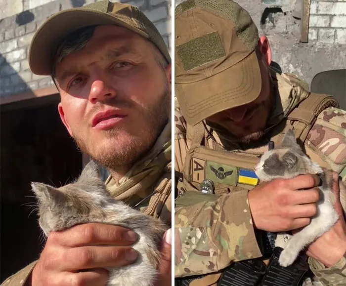 50 Photos Of Cats And Dogs Rescued By Ukrainian Soldiers, Shared By This Instagram Account