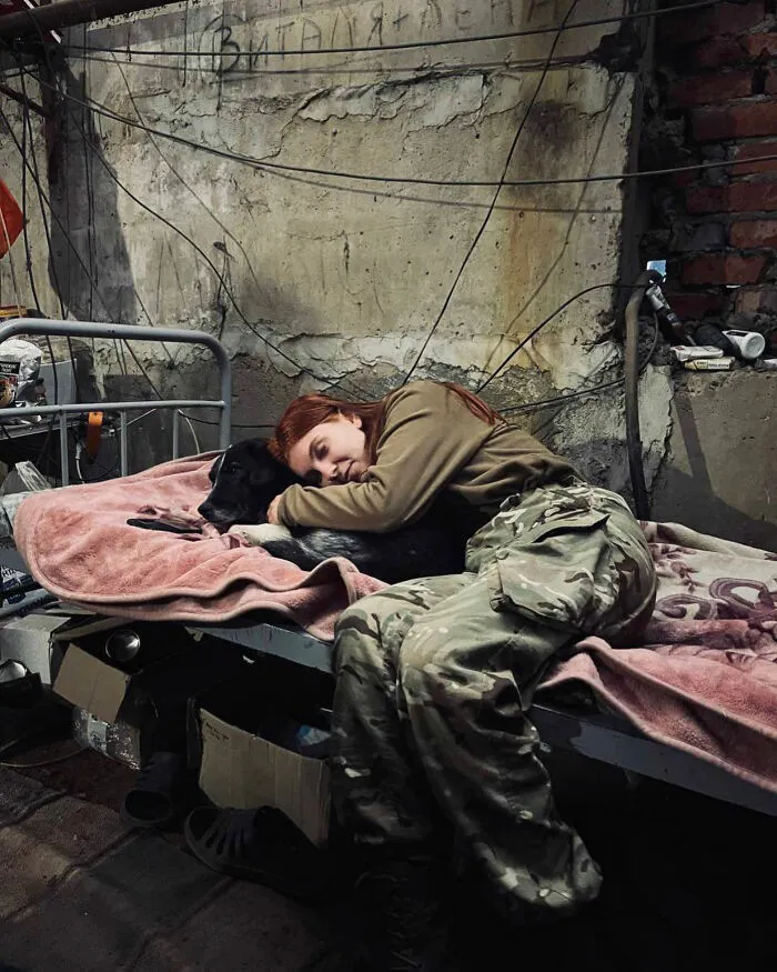 50 Photos Of Cats And Dogs Rescued By Ukrainian Soldiers, Shared By This Instagram Account