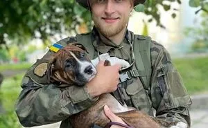 50 Photos Of Cats And Dogs Rescued By Ukrainian Soldiers, Shared By This Instagram Account