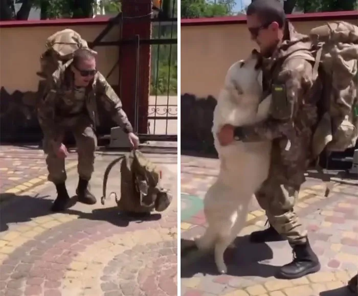 50 Photos Of Cats And Dogs Rescued By Ukrainian Soldiers, Shared By This Instagram Account