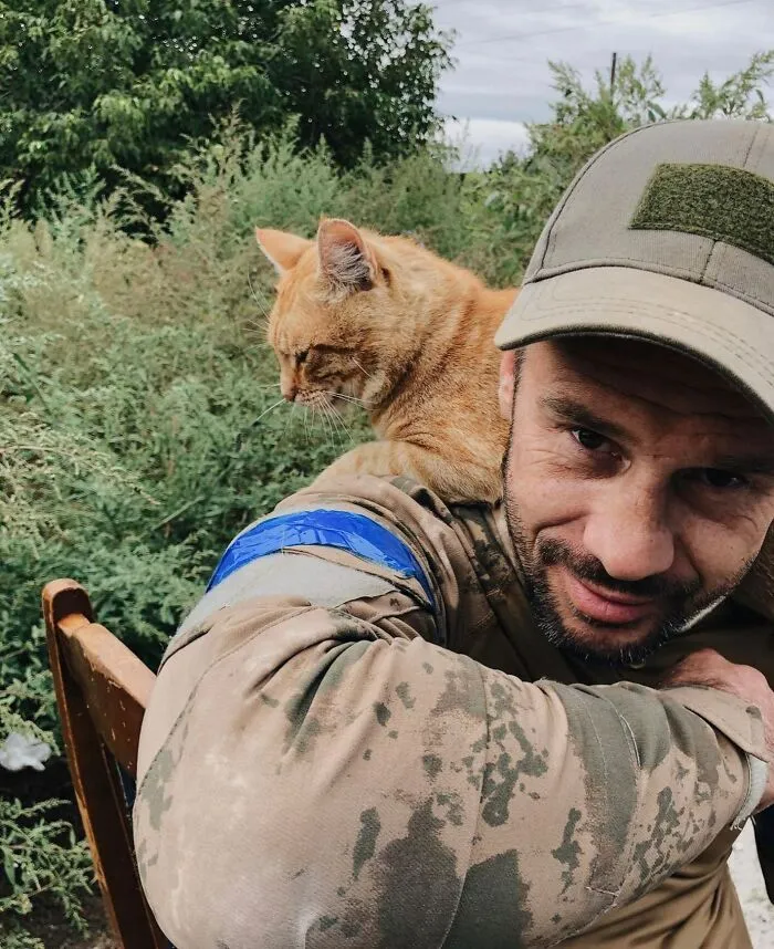 50 Photos Of Cats And Dogs Rescued By Ukrainian Soldiers, Shared By This Instagram Account