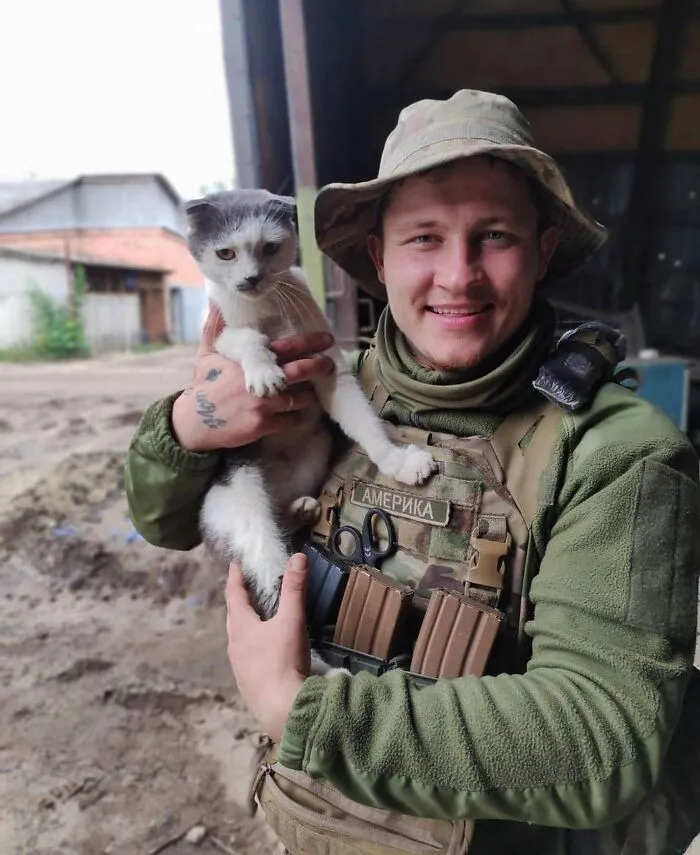 50 Photos Of Cats And Dogs Rescued By Ukrainian Soldiers, Shared By This Instagram Account