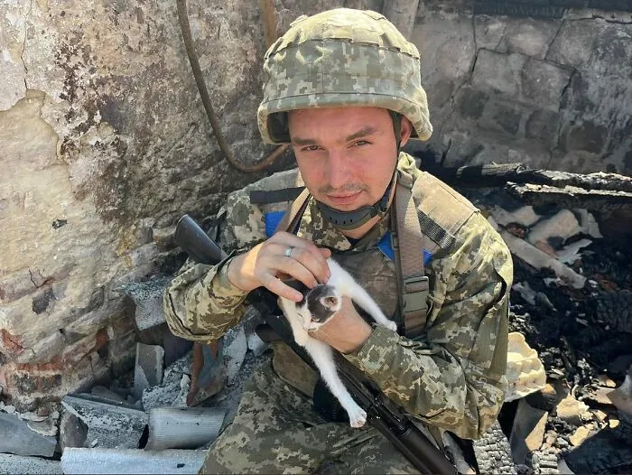 50 Photos Of Cats And Dogs Rescued By Ukrainian Soldiers, Shared By This Instagram Account