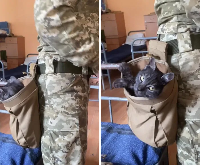 50 Photos Of Cats And Dogs Rescued By Ukrainian Soldiers, Shared By This Instagram Account