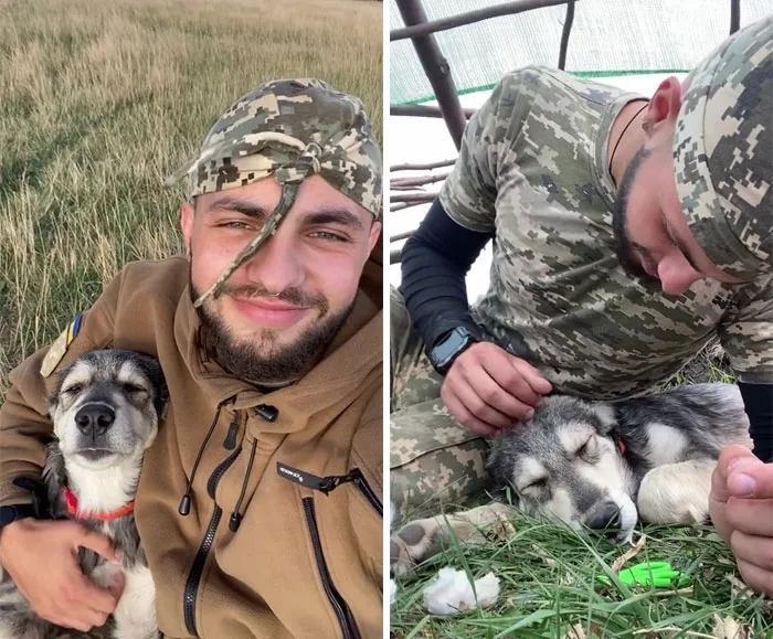 50 Photos Of Cats And Dogs Rescued By Ukrainian Soldiers, Shared By This Instagram Account